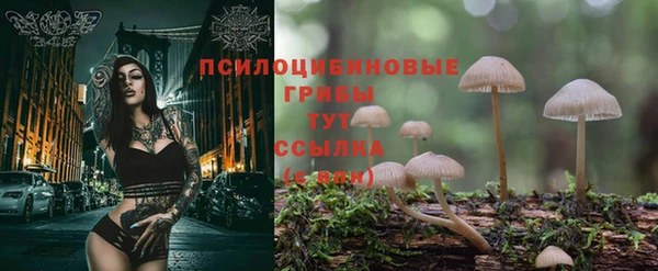 Альфа ПВП Пестово