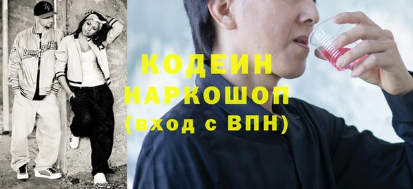 гашик Арсеньев